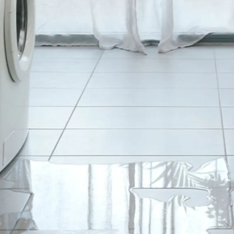 Appliance Leak Cleanup in Carrizales, PR