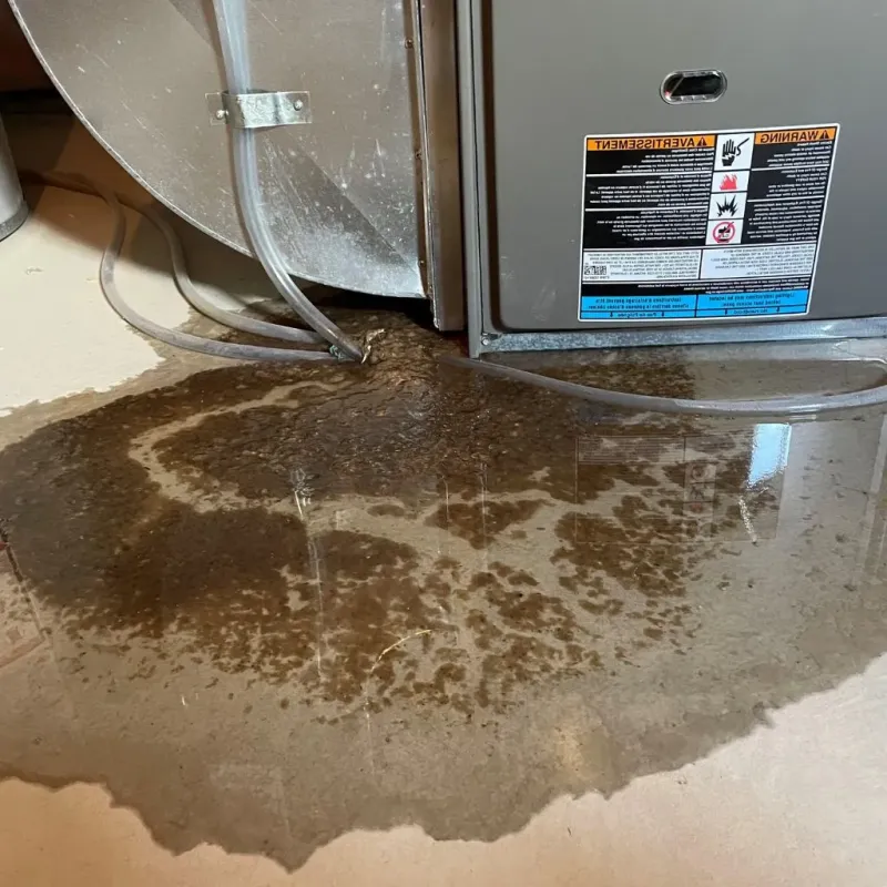 Pipe Burst and Leak Restoration in Carrizales, PR