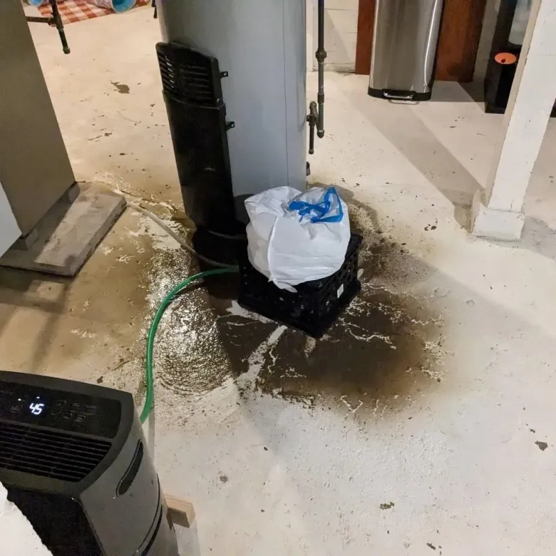 Sewage Backup Cleanup Service in Carrizales, PR